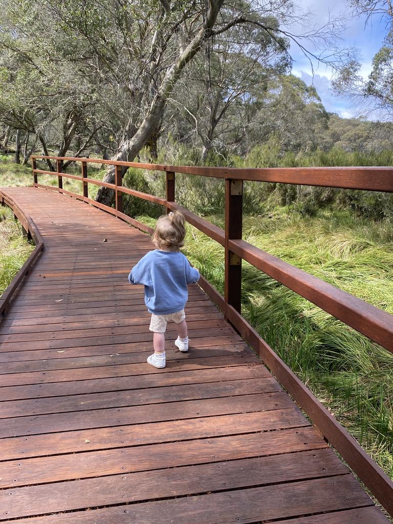 The campsite we booked on Hipcamp is just an hour from some of the best walks in the Barrington Tops National Park.