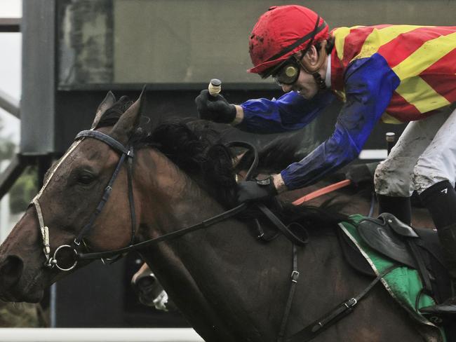 KEMBLA GRANGE, AUSTRALIA - NOVEMBER 20: Tyler Schiller on Eleven Eleven wins race 7 the Traffic Logistics The Warraduring Sydney Racing at Kembla Grange Racecourse on November 20, 2021 in Kembla Grange, Australia. (Photo by Mark Evans/Getty Images)