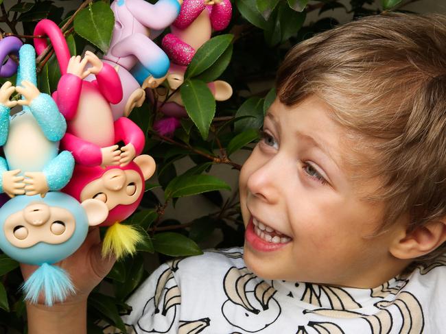 Arnold put some Fingerlings to the test ahead of the Toy Fair which starts this Sunday. Picture- Nicole Cleary