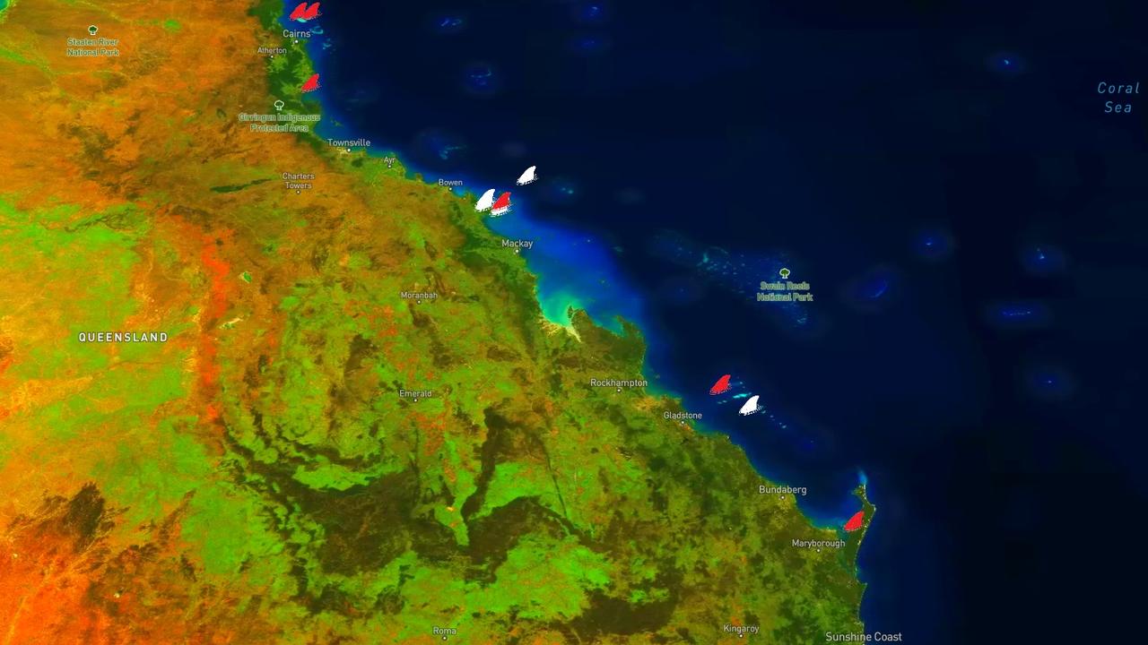 Interactive map reveals truth about sharks in Australia | news.com.au
