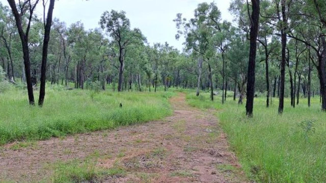 A view of the proposed camp area at Carnarvon Gorge.