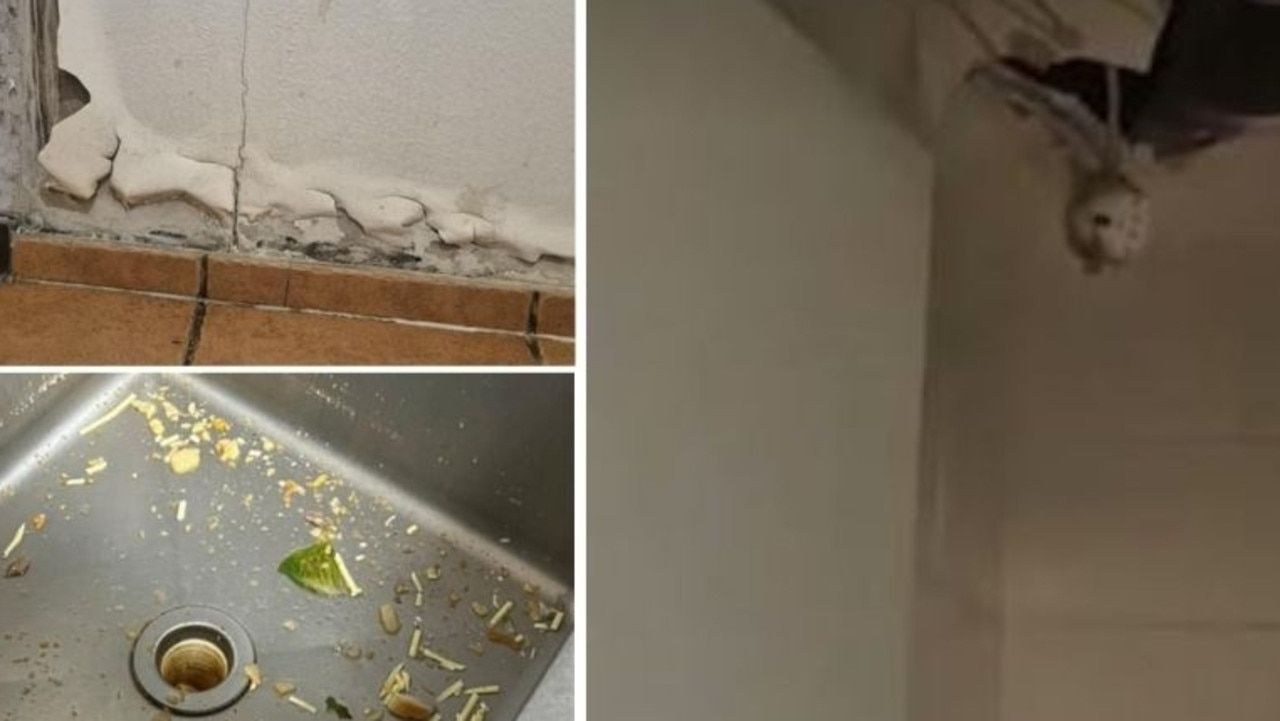 Inside Dingo Blue (left to right): a peeling bathroom wall, with the suggestion of mould underneath; the ceiling in one of the bathroom stalls with wires exposed; the kitchen sink after a a saturday club night which was described in a message as containing a “mix of pasta and vomit”.