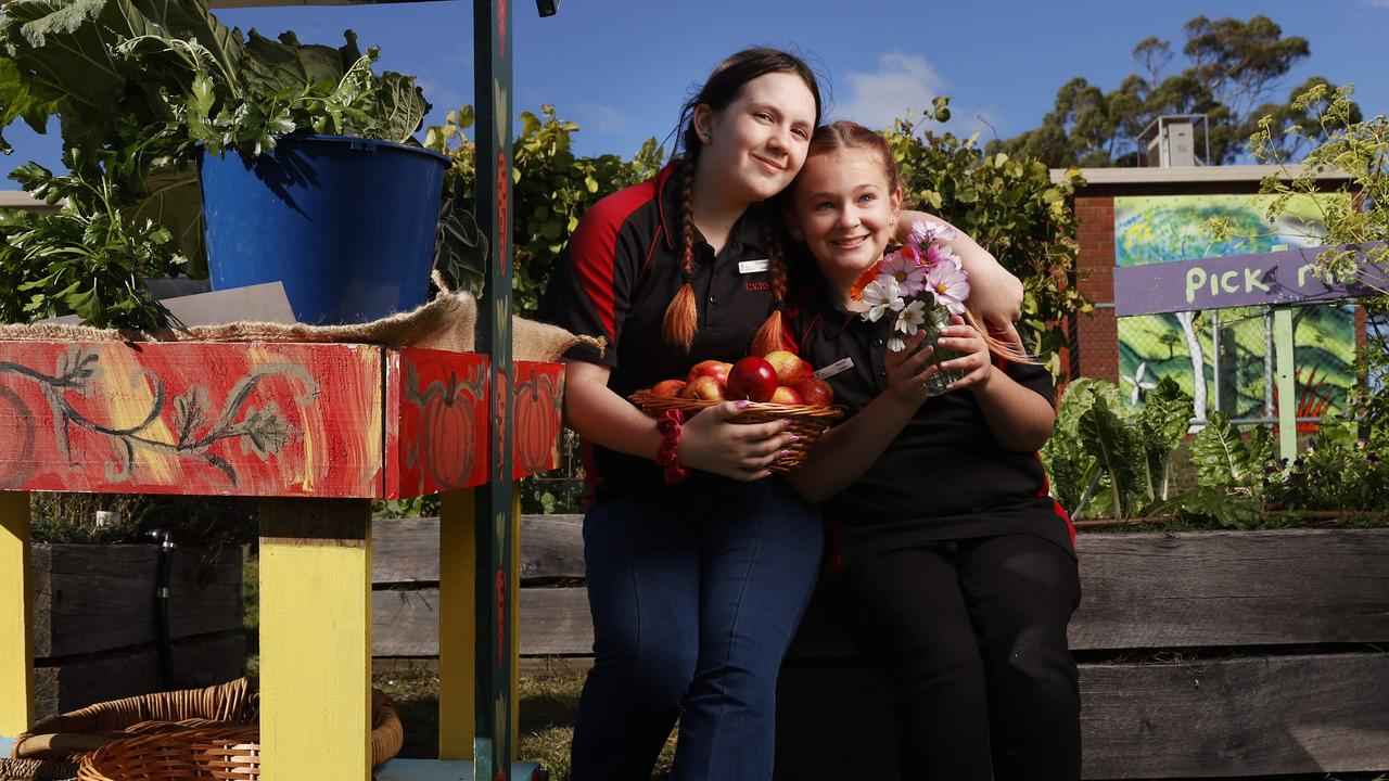 School’s kitchen garden program is ‘planting more than just seeds’
