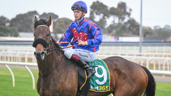 Gilbert Gardiner has made Mahrez, a $4.80 chance in the sixth race on the Geelong program, his best bet of the day. Picture: Reg Ryan / Racing Photos