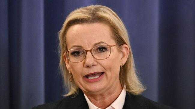 Liberal leader Sussan Ley is in talks with the Nationals. Picture: Saeed Khan / AFP