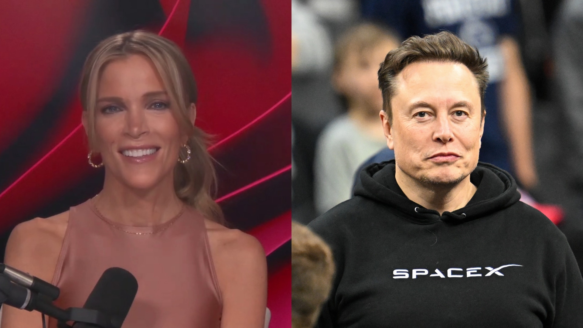Megyn Kelly calls out Washington elite for stopping Elon Musk’s DOGE cuts