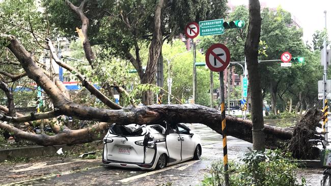 An uprooted tree lies on a road junction in the Minsheng district. Typhoon "Kong-rey" toppled numerous trees in the Taiwanese capital Taipei. Picture: Yu-Tzu Chiu/dpa