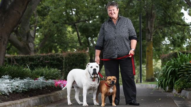 Jan Cameron business woman at Princes Park in Hobart. Jan Cameron has been a successful business woman over many years with her lastest venture baby formula company Bellamys going berserk. Picture: NIKKI DAVIS-JONES