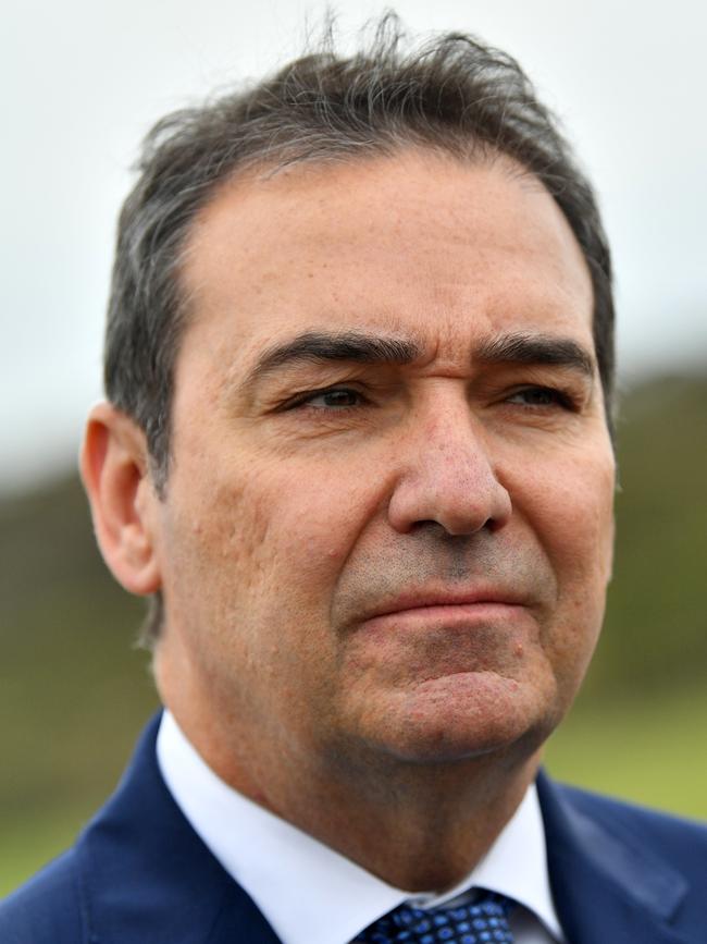 Premier Steven Marshall: “I genuinely don’t think we need an independent inquiry.”