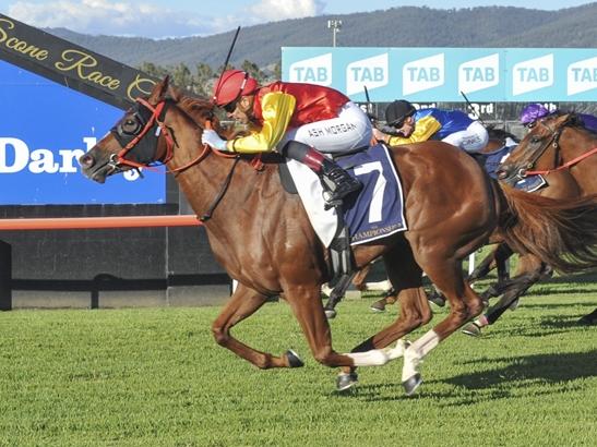 That's Molly is chasing another Cup win at Coffs harbour. Picture: Bradley Photos