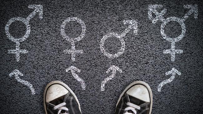 Sexual orientation and gender identity will be included in our next census. Picture: iStock