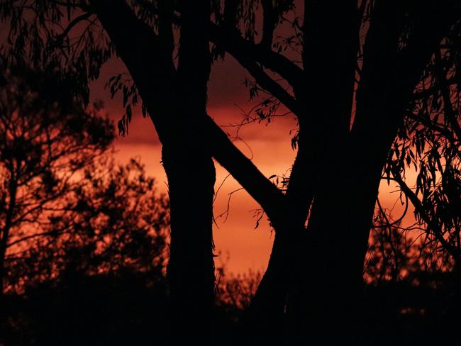 Bush fire picture