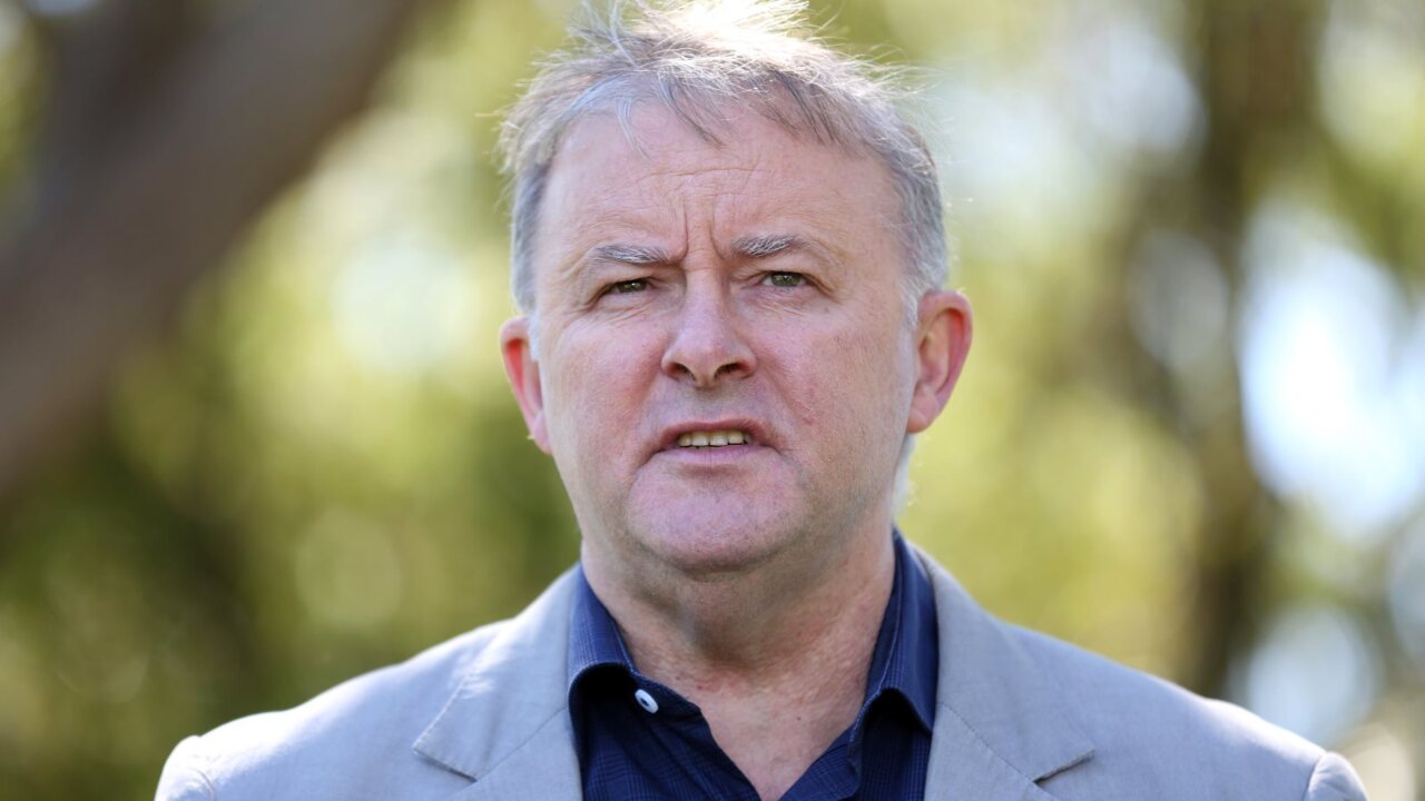 Albanese's COVID diagnosis 'not ideal' during election campaign