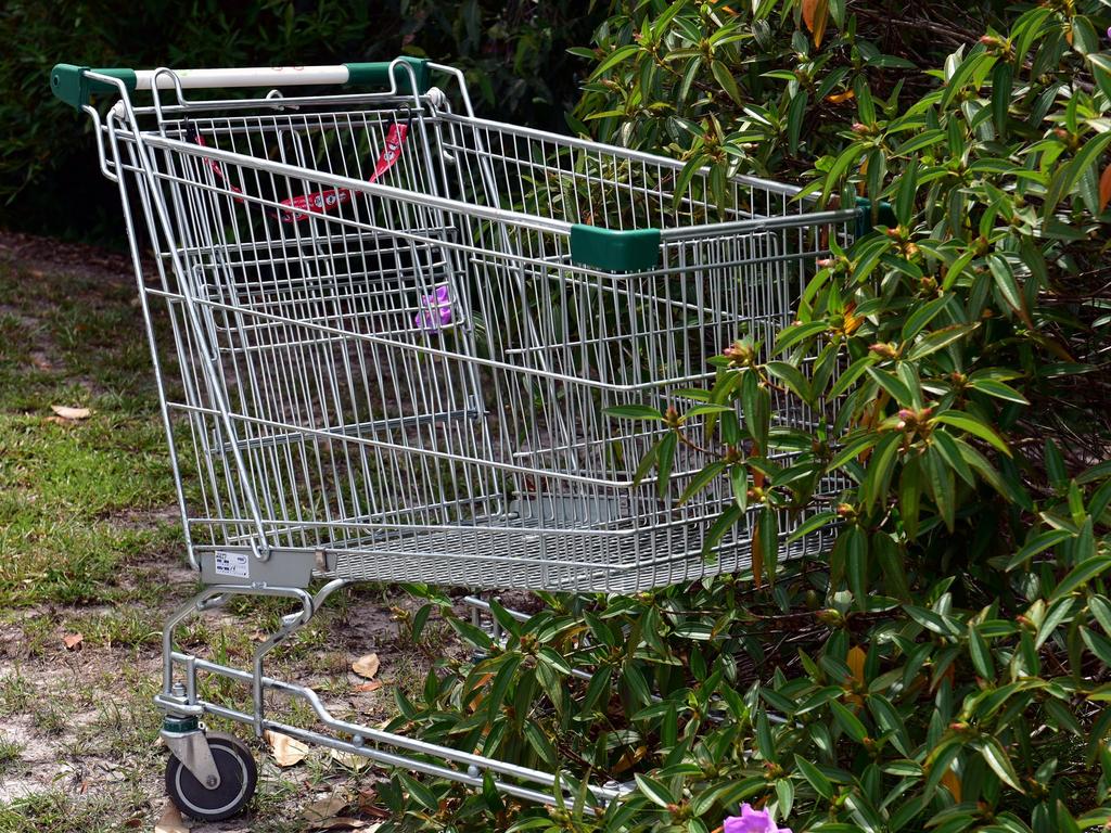 New laws around abandoned trolleys were introduced to NSW parliament last week. Picture: Geoff Potter / Noosa News