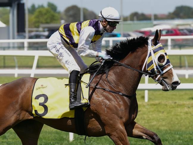 Femminile on the way to the barriers prior to the running of the Schweppes Ethereal Stakes at Caulfield Racecourse on October 19, 2024 in Caulfield, Australia. (Photo by Scott Barbour/Racing Photos via Getty Images)