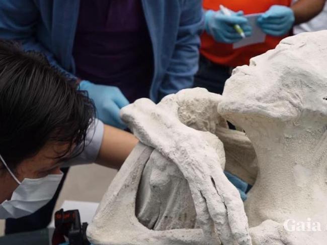 Three Fingered Mummies Found In Peru Are Not Human Says Scientist And May Be Aliens 