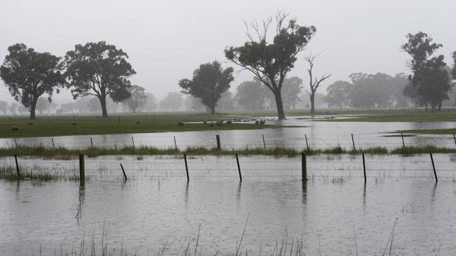 When the rains do come, they’re so intense that property, people and animals are at risk. (Pic: News Corp)