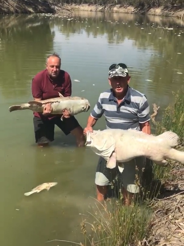 Rob McBride and Dick Arnold with dead fish.