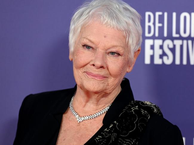 Judi Dench has said she can no longer read scripts. (Photo by Stuart C. Wilson/Getty Images for BFI)