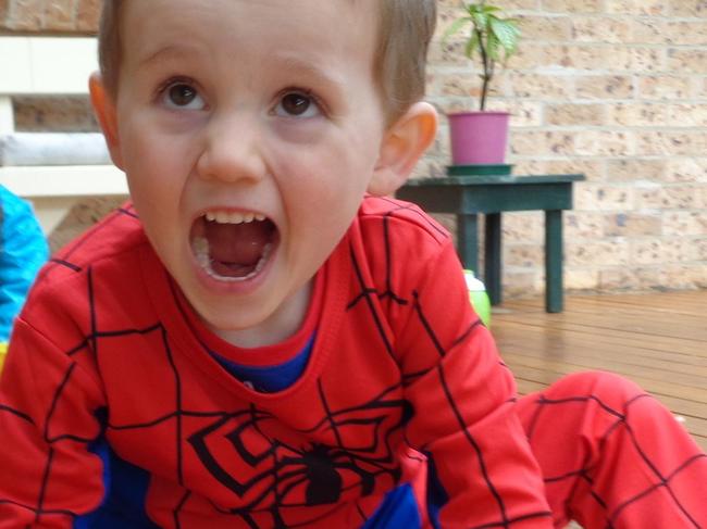 Photo showing missing child William TyrrellPhoto courtesy of NSW Police