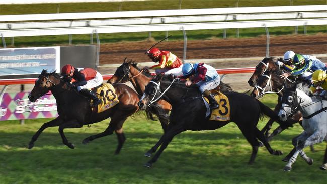 Michael Costa trained Purrfect Deal ridden by jockey Ben Thompson won the $200,000 Maclean hotel Grafton Cup at Clarence River Jockey Club on Thursday, 8th July, 2021. Photo: Bill North / The Daily Examiner