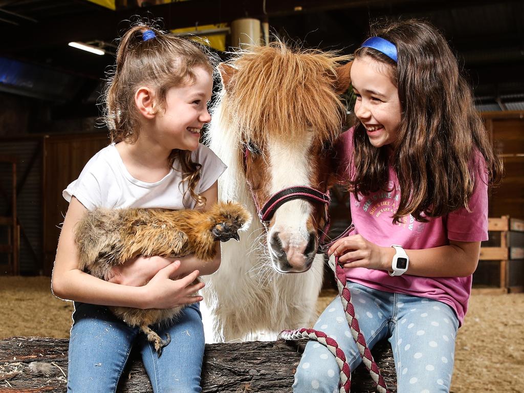 Felicity and Charlie, both 7, with Rusty the one-year-old Chinese Silkie Chicken and Kaysha the five-year-old pony at the animal nursery ahead of the 2022 Ekka. Picture: Zak Simmonds