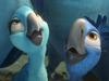 Scene from the 2014 animated film "Rio 2".