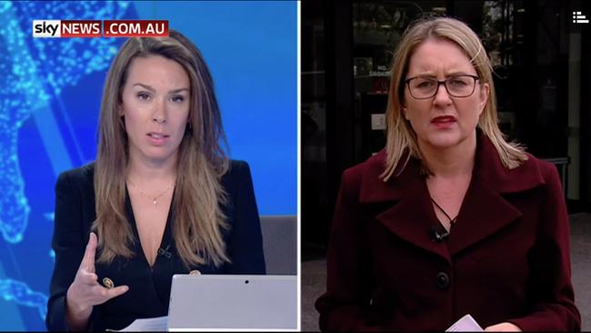 Transport Minister Jacinta Allan on Sky News.