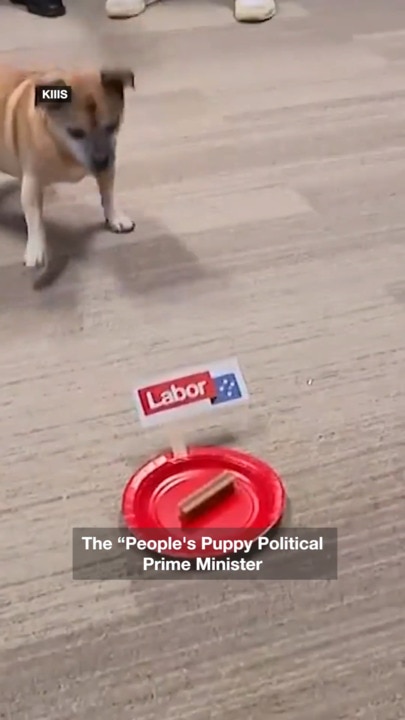 Dogs predict who will win the Australian Federal Election