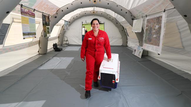 Deb Pearse of SAVEM inside the deployed hospital.