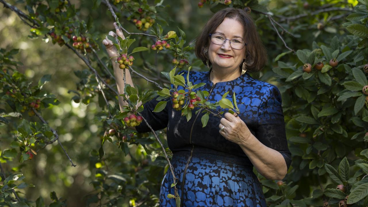 Author Jackie French. Picture: Martin Ollman