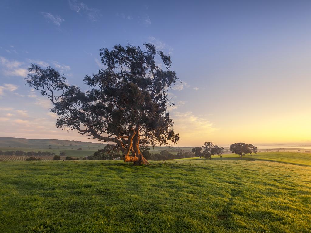 20 best family holidays in South Australia | Photos