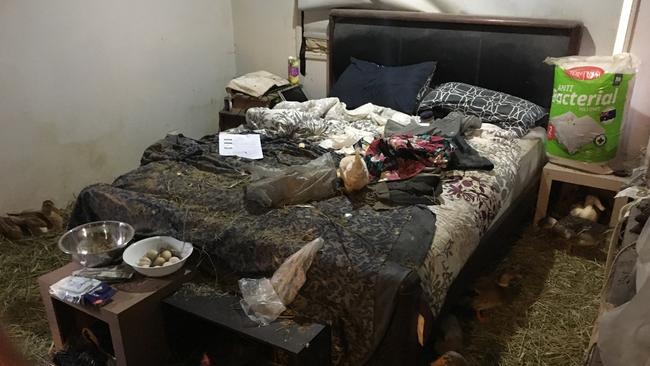 A bedroom overrun by fowl in Rachel Staines’ Beaudesert home.