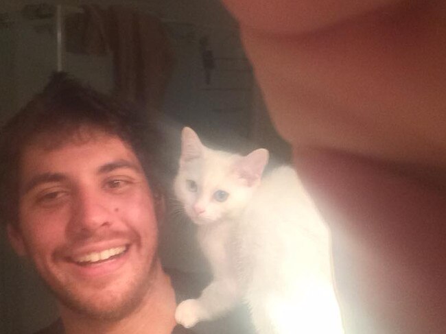 Magistrate mauls kitten conman