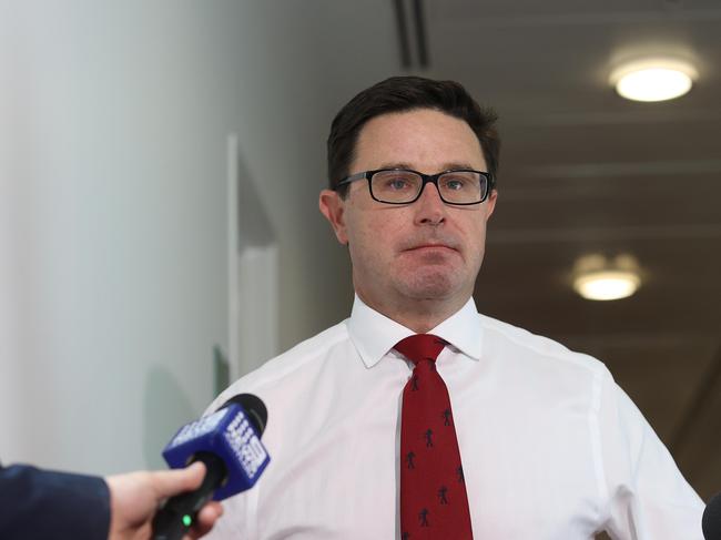 Agriculture Minister David Littleproud said risk lumpy skin disease would "devastate” the Territory’s cattle industry. Picture: NCA NewsWire / Gary Ramage