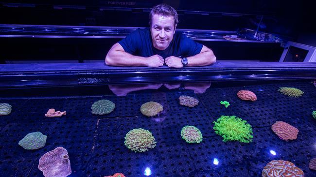 Dr Dean Miller is managing director of Great Barrier Reef Legacy