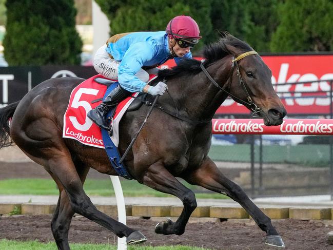 Apache Song ridden by Blake Shinn wins the The Drug Detection Agency Handicap at Moonee Valley Racecourse on November 29, 2024 in Moonee Ponds, Australia. (Photo by George Salpigtidis/Racing Photos via Getty Images)