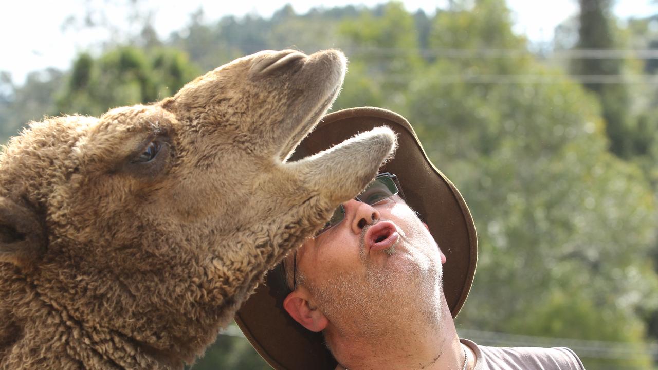 Michael Bosscher at his family’s animal zoo in 2015. Picture: Philip Norrish