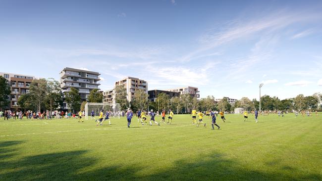 Sporting fields under the proposal. Picture: Camden Council