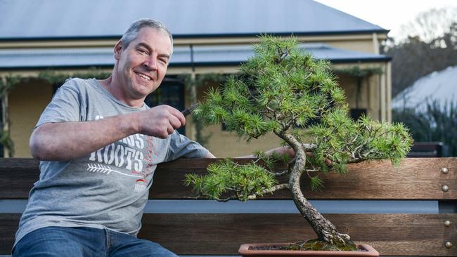 Dr Bonsai aka Adrian Bonifacio with a 30 year old Bonsai tree at Grass Roots Vintage in Hahndorf. Picture: Brenton Edwards