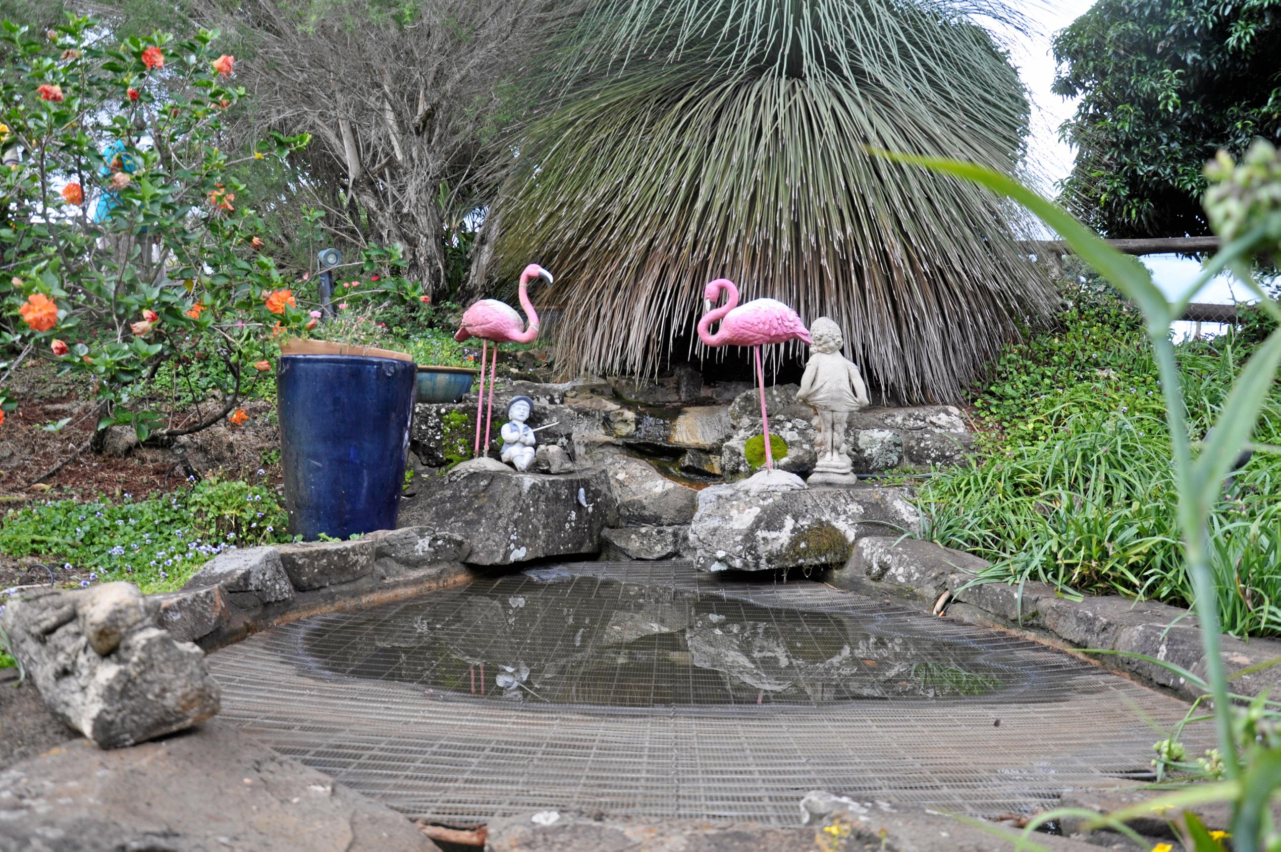 Monto Garden Club visits Roy and Bev Marbach's property. Picture: Mackenzie Colahan