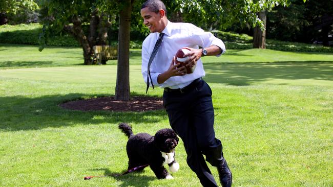 Barack Obama playing football with Bo on the South Lawn of the White House May 12, 2009 in Washington, DC. (Photo by Pete Souza/The White House via Getty Images)