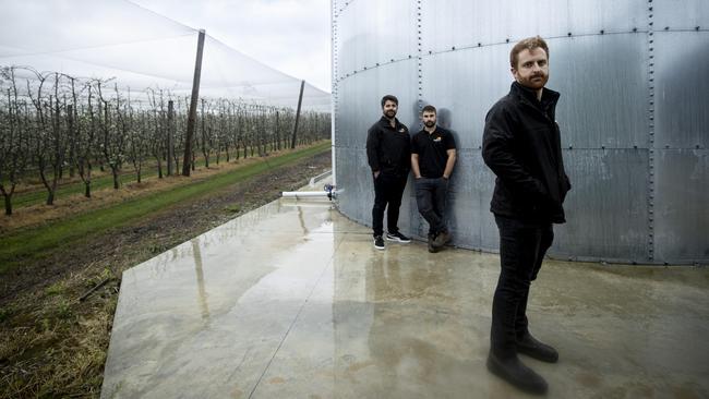 Joe Napoleone with his brother Jack and cousin Max, on their Yarra Valley fruit farm. Picture: Arsineh Houspian