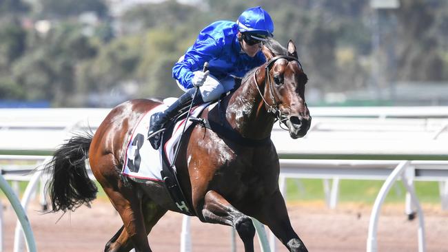 Traffic Warden wins the Sires' Produce Stakes.