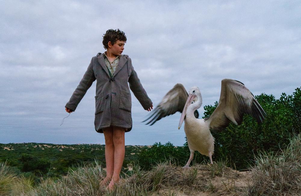 Storm Boy 2019: Behind the scenes with Jai Courtney and cast | The  Advertiser