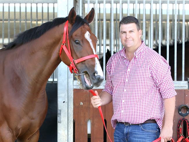 Trainer, Chris Anderson with Profit, horse racing, Eagle Farm, on Wednesday 18th November, 2020 - Photo Steve Pohlner