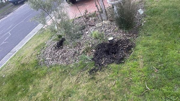 The thief left dirt piles and holes in his garden. Picture: Justin Harris