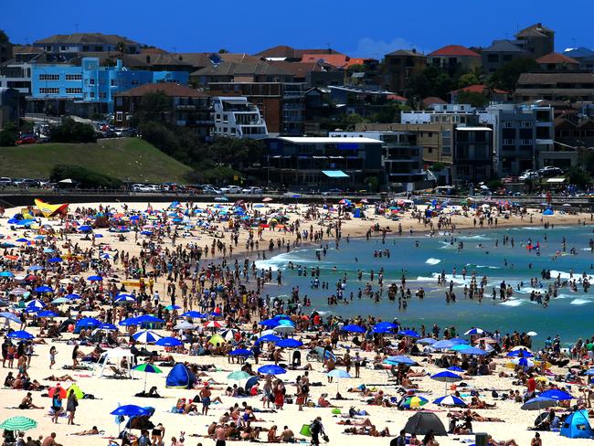 Thousands of beachgoers and surfers are put at risk by the destruction of shark nets. Picture: Dylan Robinson