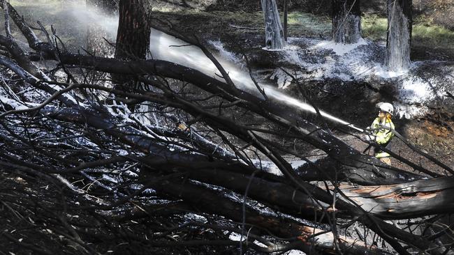 MFS extinguish a grass fire behind the Modbury Hospital. Picture: Dean Martin