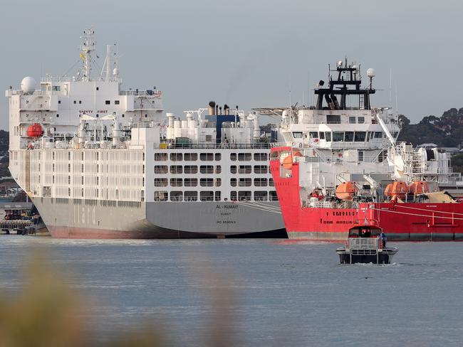 The Al Kuwait live export ship docked in Fremantle harbour. Picture: AAP